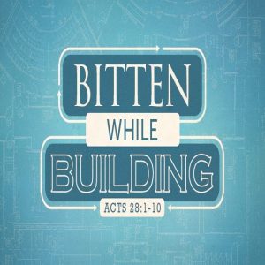 Bitten While Building - 8:30am (DVD)