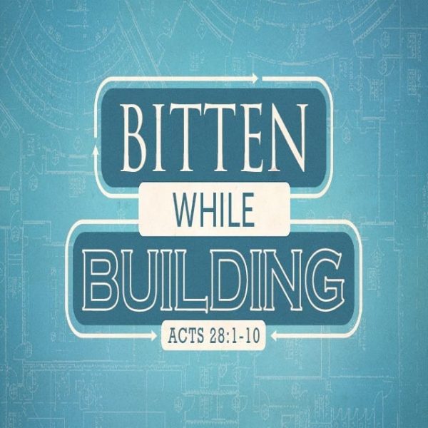 Bitten While Building - 11:00am (CD)