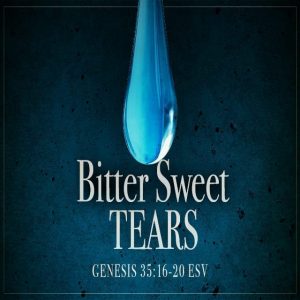 Bitter Sweet Tears - 8:30am (CD)