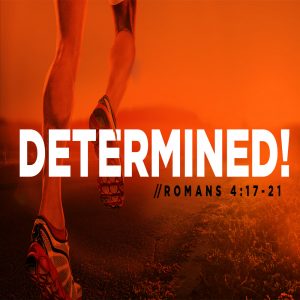 Determined! - 8:30am - DVD
