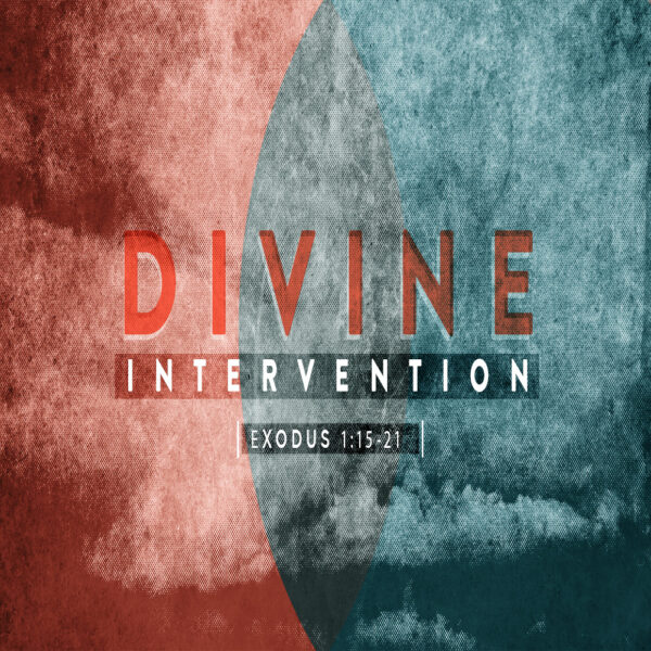 Divine Intervention - 8:30am - DVD