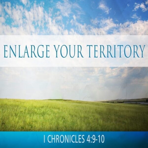 Enlarge Your Territory 2 - 8:30am (CD)