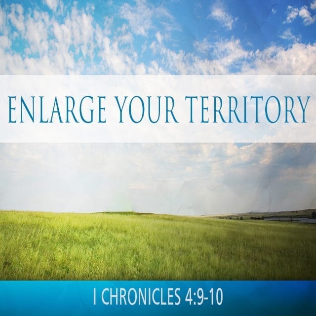 Enlarge Your Territory - 8:30am (CD)