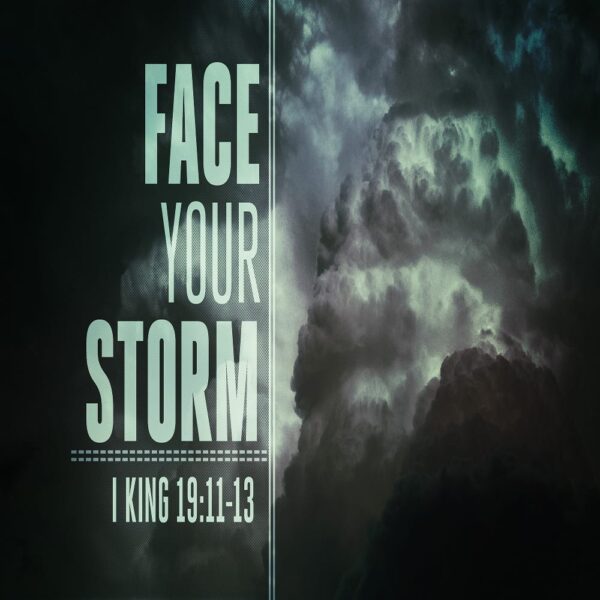 Face Your Storm - DVD