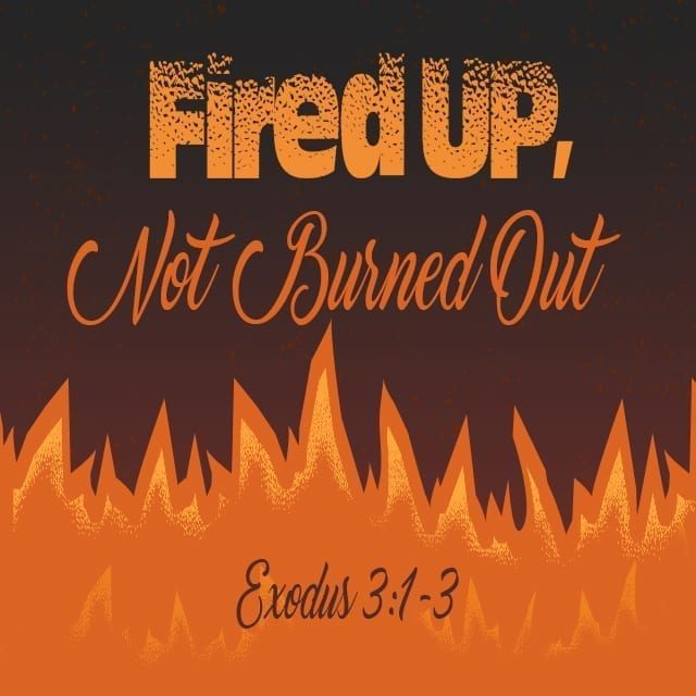 Fired Up Not Burned Out - 11:00am (CD)