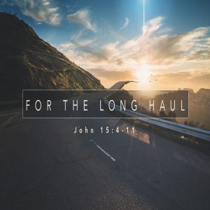 For The Long Haul - DVD