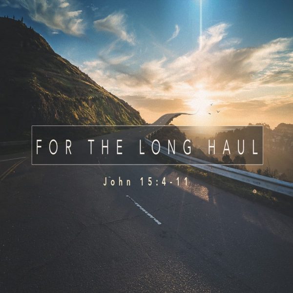 For The Long Haul - CD