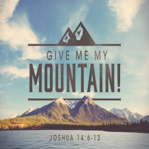 Give Me My Mountain! - 8:30am (DVD)