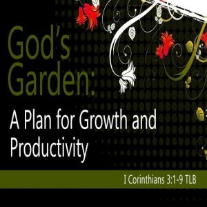 God’s Garden (DVD Series)