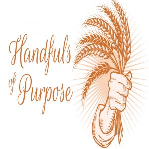 Handfuls of Purpose - 11:00am - DVD