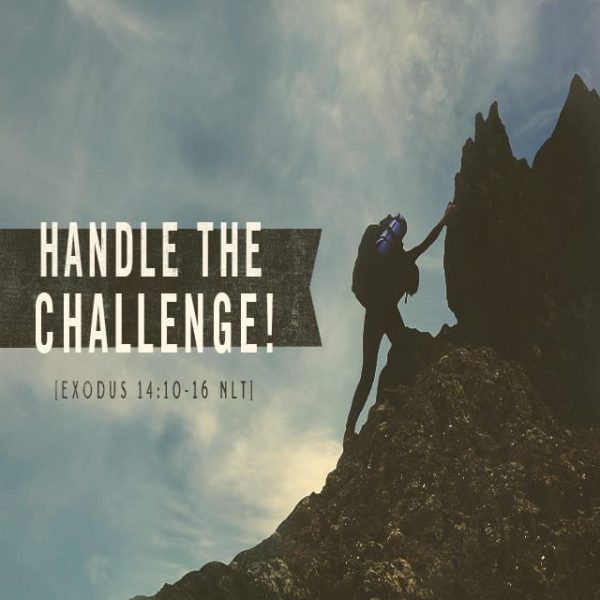 Handle the Challenge! - 8:30am (DVD)