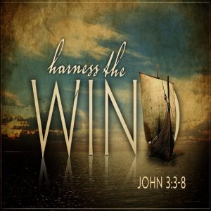 Harness The Wind - 11:00am (CD)