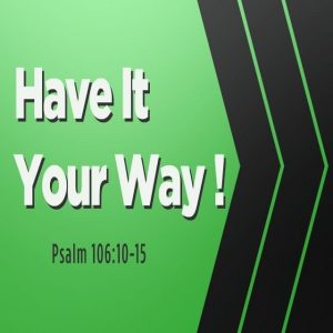 Have It Your Way! - 8:30am and 11am (DVD)