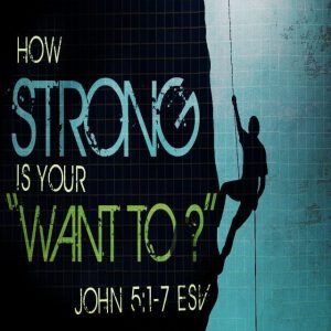 How Strong Is Your Want To? - 8:30am (DVD)