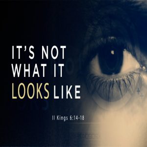 It’s Not What It Looks Like - 11:00am - DVD