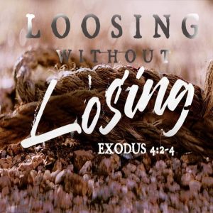 Loosing Without Losing - 11:00am (DVD)