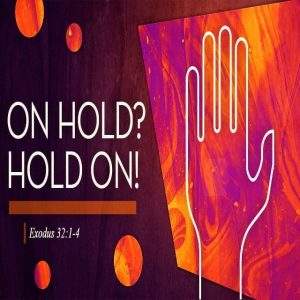 On Hold? Hold On! - 11:00am (DVD)