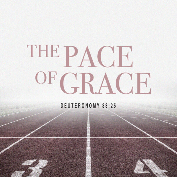 The Pace Of Grace - 8:30am - CD