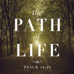 The Path Of Life - 11:00 - DVD