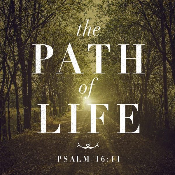 The Path Of Life - 8:30am - CD
