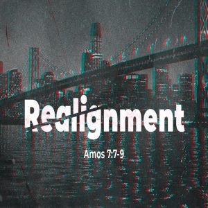 Realignment - DVD