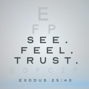 See. Feel. Trust. - 11:00am - DVD