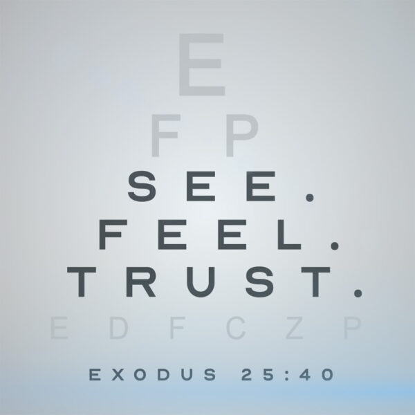 See. Feel. Trust. - 8:30am - DVD