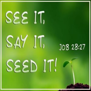 See It Say It Seed It! - 11:00am (CD)
