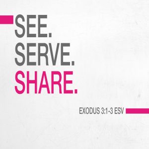 See. Serve. Share. - 8:30am and 11am - DVD