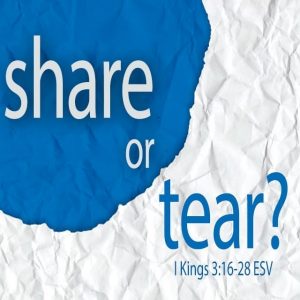 Share or Tear? - 8:30am (CD)
