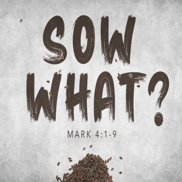 Sow What? - 8:30am (DVD)