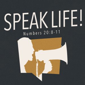 Speak Life! - 8:30am - CD