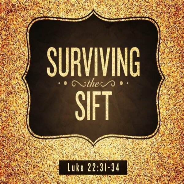 Surviving the Sift - 8:30am (DVD)