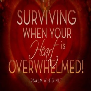 Surviving When Your Heart is Overwhelmed! - 11:00am (CD)
