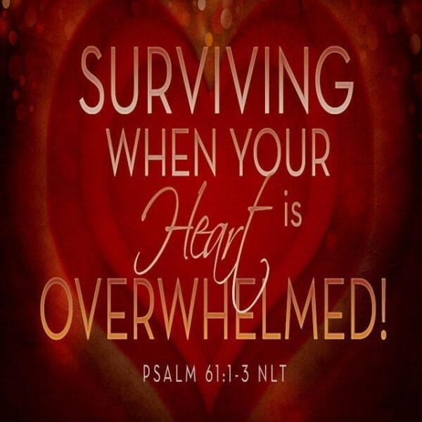 Surviving When Your Heart is Overwhelmed! - 11:00am (DVD)