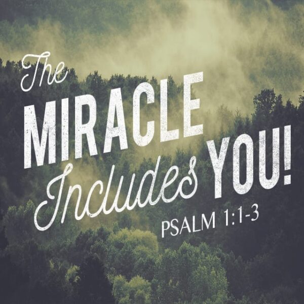 The Miracle Includes You! - 8:30am (DVD)