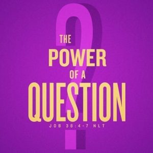 The Power of a Question - 11:00am (DVD)