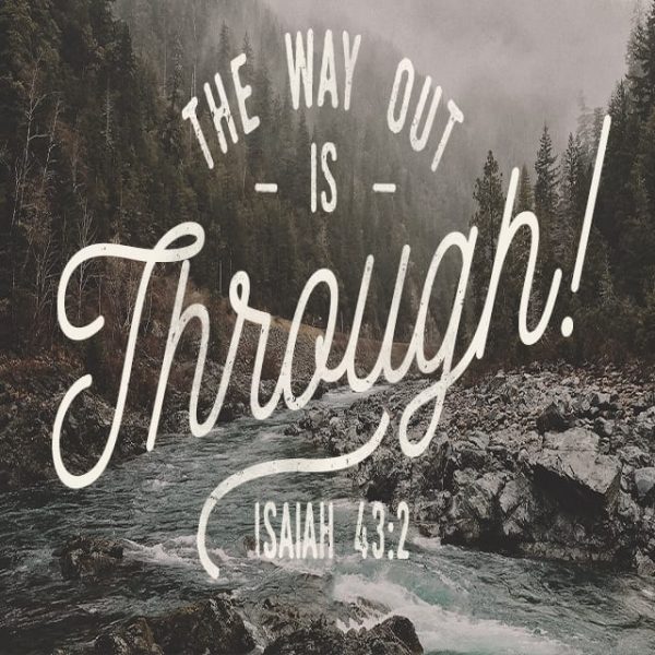 The Way Out is Through! - 8:30am (CD)