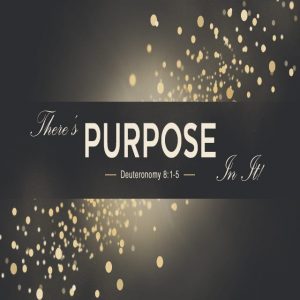 There's Purpose In It! - 11:00am (CD)