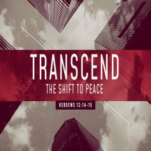 Transcend 2: The Shift to Peace - 11:00am - CD