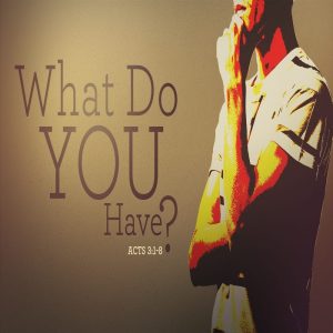 What Do You Have? - CD