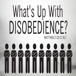 What’s Up With Disobedience? - 8:30am (CD)
