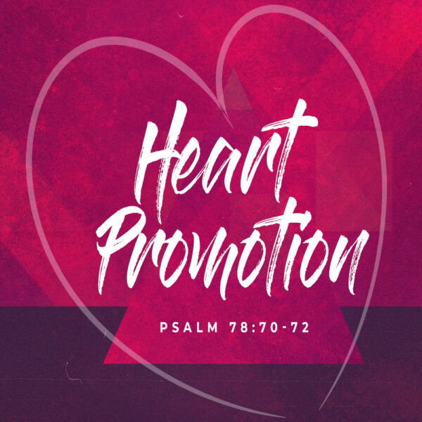 Heart Promotion - 8:30 - CD