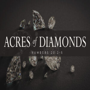 Acres of Diamonds - 8:30 - CD