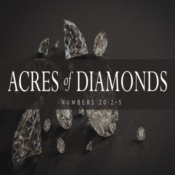 Acres of Diamonds - 11:00 - CD