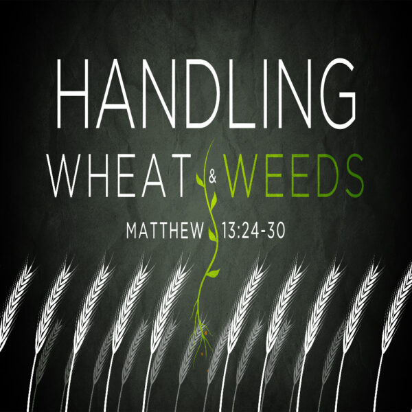 Handling Wheat and Weeds - 8:30 - CD