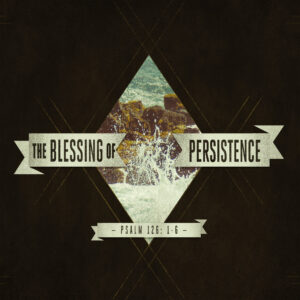 The Blessing of Persistence - 8:30 - CD