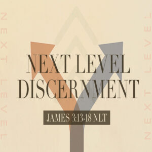 Next Level Discernment - 8:30 - CD