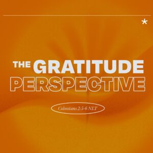 The Gratitude Perspective - 11:00 - CD