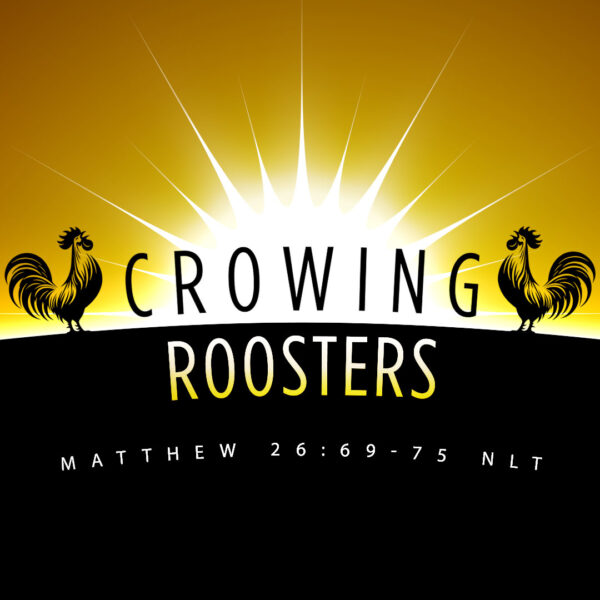 Crowing Roosters - 8:30 - CD